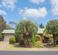 Bottlebrush - Accommodation Redcliffe