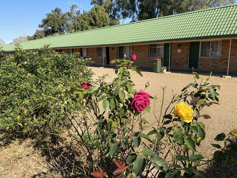 Bridge Motel Wellington - Accommodation Redcliffe 1