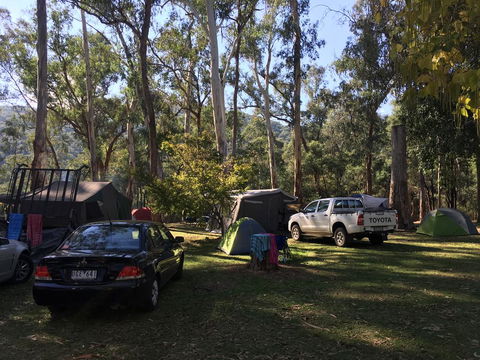 Bright Cabin Park - Accommodation Redcliffe 2