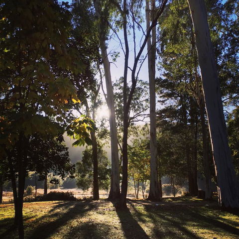 Bright Cabin Park - Accommodation Redcliffe 3
