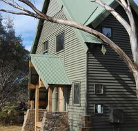 Buffalo - Accommodation Redcliffe