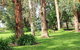 Clarendon Chalets - thumb 1