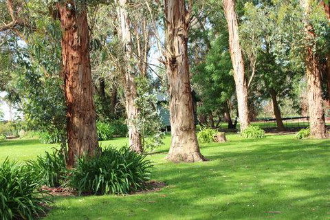 Clarendon Chalets - Accommodation Redcliffe 1