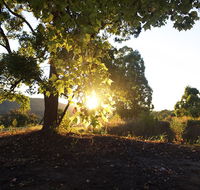 Clarendon Forest Retreat - Accommodation Redcliffe