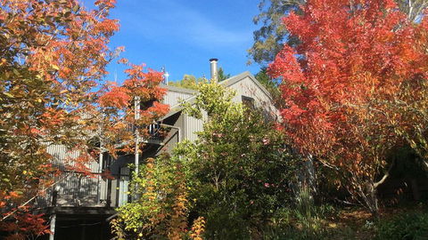 Cloudsong Chalet 4 - Close To The Village Centre! - Accommodation Redcliffe 0