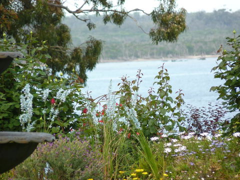 Clovelly Cottage - Accommodation Redcliffe 3