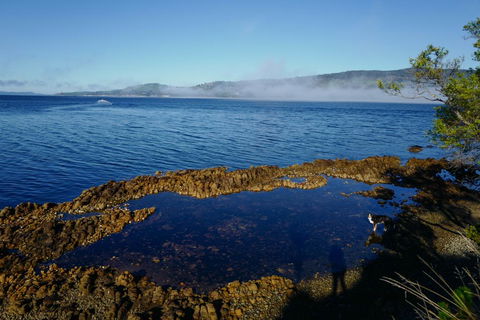 Coast House Tasmania - Accommodation Redcliffe 2