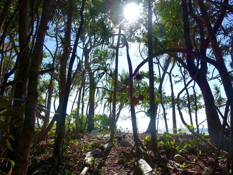 Coconut Beach House - Accommodation Redcliffe 2