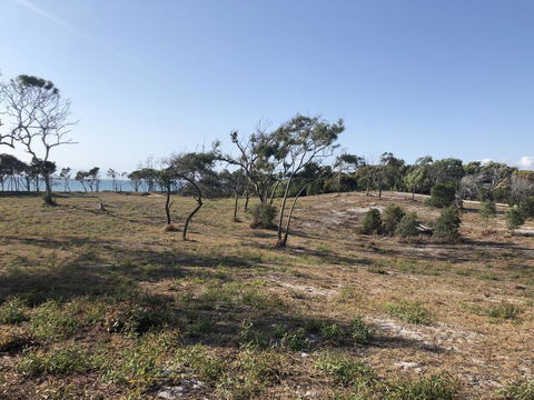 COONARR BEACH ( BUNDABERG )CAMPING - Accommodation Redcliffe 2