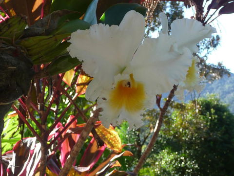 Coral Sea Views - Accommodation Redcliffe 2