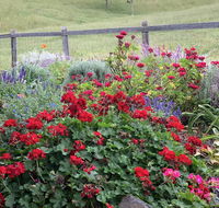 Country Mile Escape - Accommodation Redcliffe