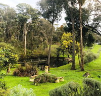Countryside Retreat Intimate Studio Hepburn - Daylesford - Accommodation Redcliffe