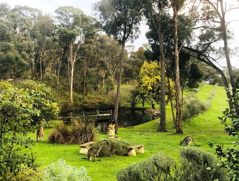 Countryside Retreat Intimate Studio Hepburn - Daylesford - Accommodation Redcliffe 0