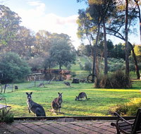 Countryside Retreat Spa Cottage Hepburn - Daylesford - Accommodation Redcliffe