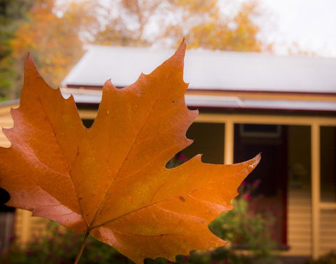 Creek Cottage - Accommodation Redcliffe 3