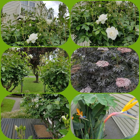 Creek Cottage Bed And Breakfast - Accommodation Redcliffe 3