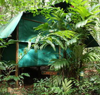 Daintree Crocodylus - Accommodation Redcliffe