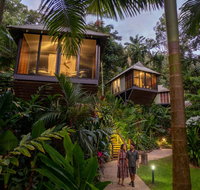 Daintree Ecolodge - Accommodation Redcliffe
