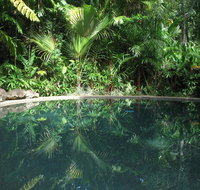 Daintree Rainforest Retreat Motel - Accommodation Redcliffe