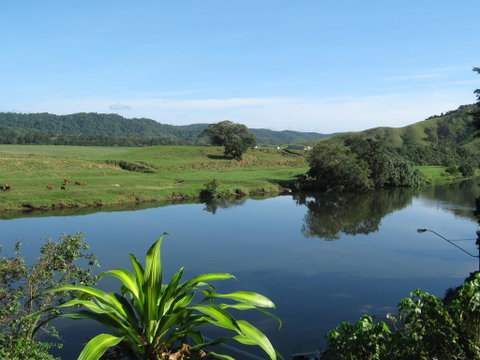 Daintree Riverview Lodges - Accommodation Redcliffe 0