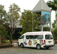 Daintree Wild Bed  Breakfast - Accommodation Redcliffe
