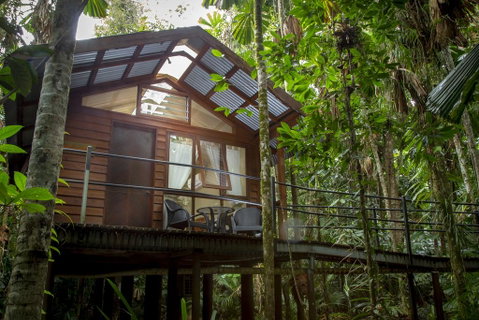 Daintree Wilderness Lodge - Accommodation Redcliffe 2