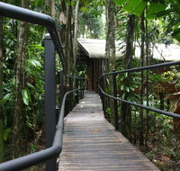 Daintree Wilderness Lodge - Accommodation Redcliffe