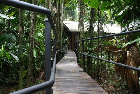 Daintree Wilderness Lodge - Accommodation Redcliffe 0