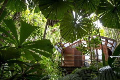 Daintree Wilderness Lodge - Accommodation Redcliffe 1