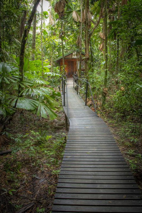 Daintree Wilderness Lodge - Accommodation Redcliffe 3