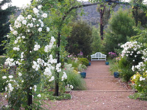 Delderfield Cottages - Accommodation Redcliffe 0