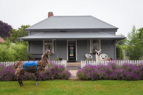 Domino House - Accommodation Redcliffe 0