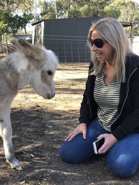 Donkey Tales Farm Cottages - Accommodation Redcliffe 1