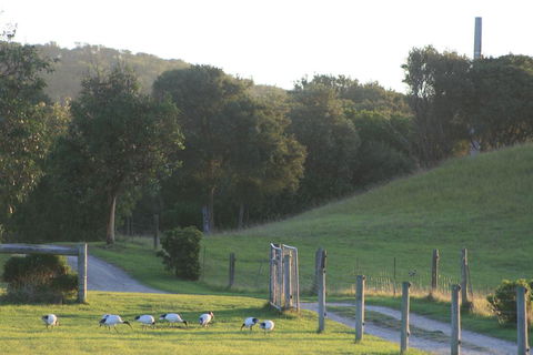 Driftwood Villas - Accommodation Redcliffe 1