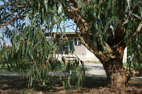 Driftwood Villas - Accommodation Redcliffe 3