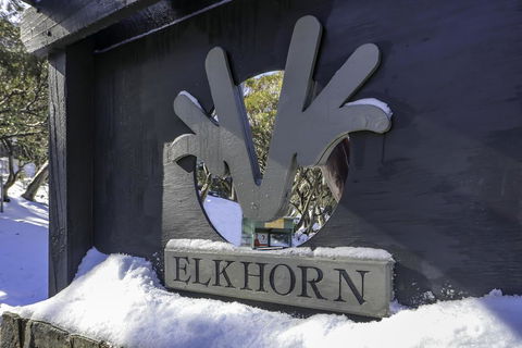 Elkhorn 11 - Accommodation Redcliffe 2