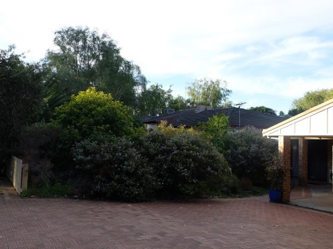 Esperance Seafront Holiday Units - Accommodation Redcliffe 3