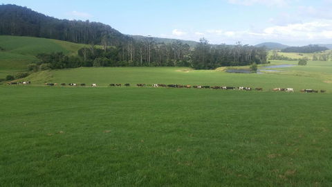 Farm Golf - Accommodation Redcliffe 2