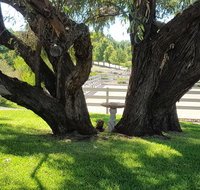 Farm Stay Studio - Accommodation Redcliffe