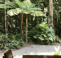 Forest Views Daintree - Accommodation Redcliffe
