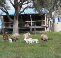 Gaddleen Grove Cottages - Accommodation Redcliffe