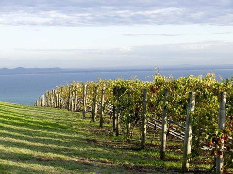 Geelong Serviced Apartments - Accommodation Redcliffe 1