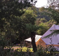 Glamping at Zeehan Bush Camp - Accommodation Redcliffe