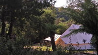 Book Zeehan Accommodation Vacations Accommodation Redcliffe Accommodation Redcliffe