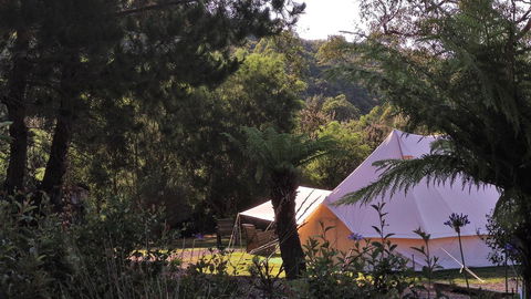 Glamping At Zeehan Bush Camp - Accommodation Redcliffe 0