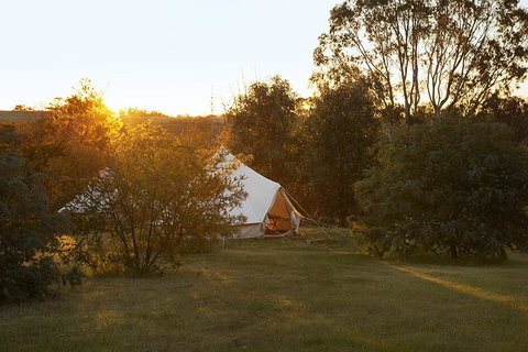 Goldfield Glamping - Accommodation Redcliffe 2