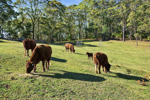 GOWAN ROSS COTTAGE - Accommodation Redcliffe 1