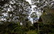 Green Leaves Cabin - thumb 0