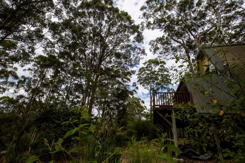 Green Leaves Cabin - Accommodation Redcliffe 0