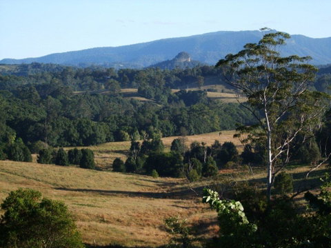 Grey Gum Lodge - Accommodation Redcliffe 0